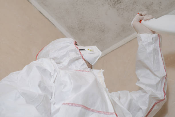 Best Industrial Mold Remediation  in Deerwood, TX